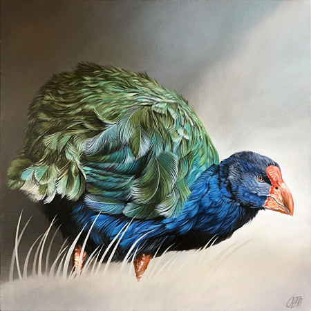 Craig Platt nz bird art, Takahe, oil on canvas